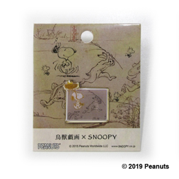 snp_cho_pins.jpg
